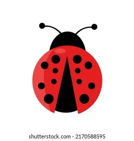 Ladybug vector illustration on white