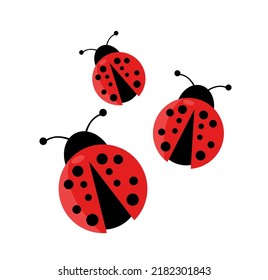 Ilustración vectorial Ladybug en blanco