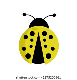 Ladybug vector illustration on white
