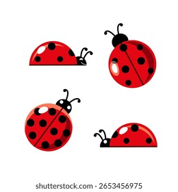 Vista Superior e Vista Lateral da Ilustração Vetorial do Ladybug. Joaninha bonita. Perfeito para decoração infantil, temas da natureza e projetos educacionais.