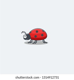 Ladybug Vector Image