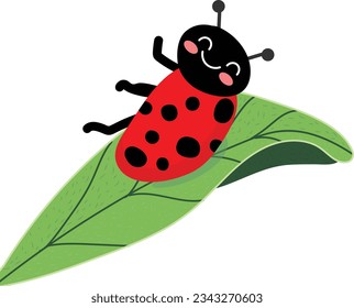 Ladybug Vector image or clip art