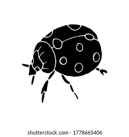 Ladybug. Vector isolated illustration of a flying insect. Ladybug on a white background. Printing on fabrics, dishes, and clothing. Doodle style. The world of insects. Book design. 