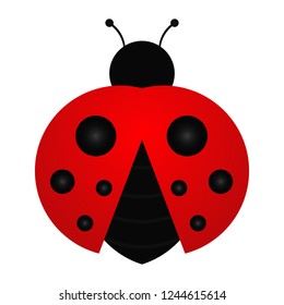 ladybug vector made with golden ratio