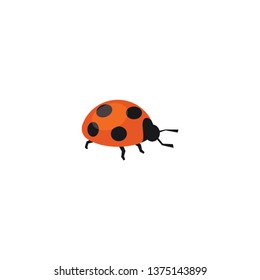 Ladybug Vector On A White Background