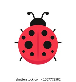 ladybug vector. ladybug on white background. wallpaper. symbol.