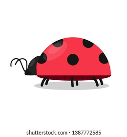 ladybug vector. ladybug on white background. wallpaper. symbol.