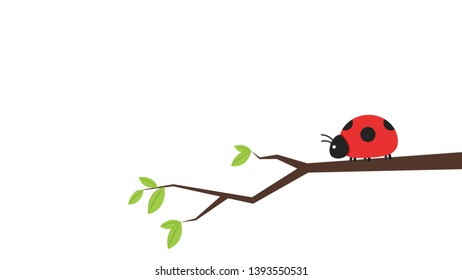 ladybug vector. ladybug on white background. wallpaper. tree stick vector.
Ladybug insects on the branches. 