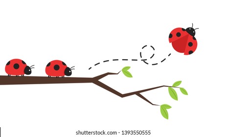 ladybug vector. ladybug on white background. wallpaper. tree stick vector.
Ladybug insects on the branches. 