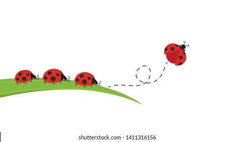 Ladybug Icon, Transparent Ladybug.PNG Images & Vector - FreeIconsPNG