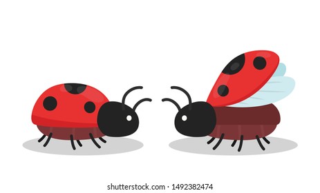 Ladybug vector. Ladybug on white background. wallpaper. symbol.