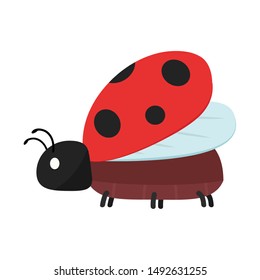 Ladybug vector. Ladybug on white background. wallpaper. symbol.