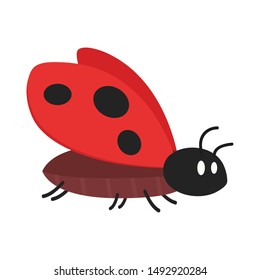 Ladybug vector. Ladybug on white background. wallpaper. symbol.
