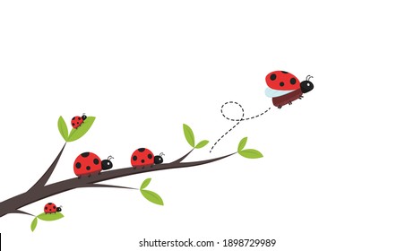 Ladybug vector. ladybug on white background. wallpaper. tree stick vector. Ladybug insects on the branches. 