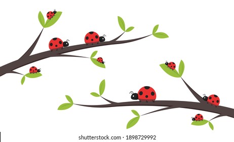 Ladybug vector. ladybug on white background. wallpaper. tree stick vector. Ladybug insects on the branches. 