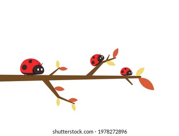 Ladybug vector. ladybug on white background. wallpaper. tree stick vector. Ladybug insects on the branches. 