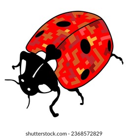Ladybug vector on a white background. Ladybug or ladybird vector graphic illustration, isolated.