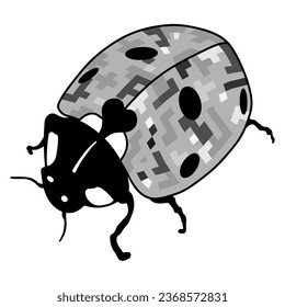 Ladybug vector on a white background. Ladybug or ladybird vector graphic illustration, isolated.