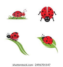 Ladybug vector. Ladybug on white background. wallpaper. symbol.