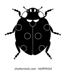 ladybug in vector on white background