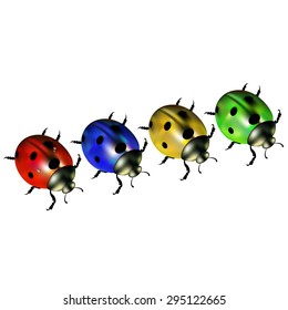ladybug vector red illustration colored beetle insect