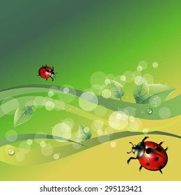 ladybug vector red illustration colored beetle insect