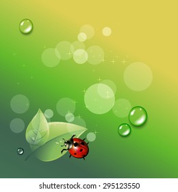 ladybug vector red illustration colored beetle insect