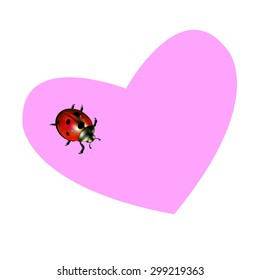 ladybug vector red illustration colored beetle insect