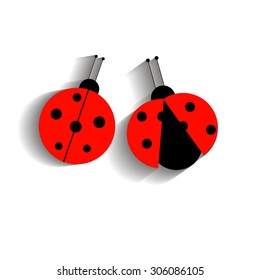 ladybug vector red illustration colored beetle nature