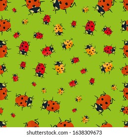 Ladybug vector seamless pattern on a green background. Red and yellow  ladybird vector graphic illustration, isolated. Cute realistic flat design of beetles. Easy to edit, chane color and add text. 