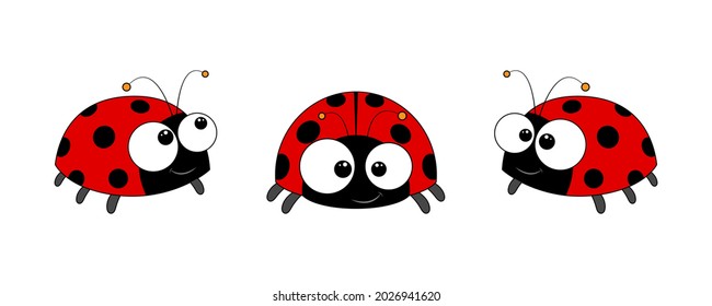 Ladybug vector set. Cute Ladybird collection  isolated on white background