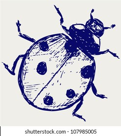 Ladybug. Vector sketch