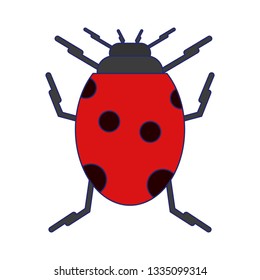 Ladybug virus symbol isolated