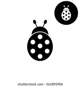 ladybug  - white vector icon
