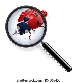 Ladybug and zoom. Illustration of the designer on a white background