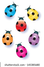Ladybugs