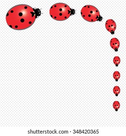 Ladybugs background 