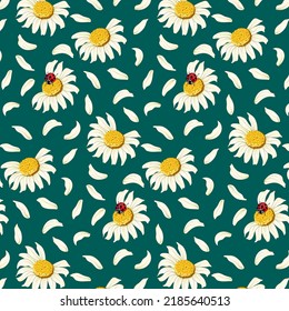 Ladybugs and daisies in a pattern.Vector pattern with ladybugs and daisies with torn petals.