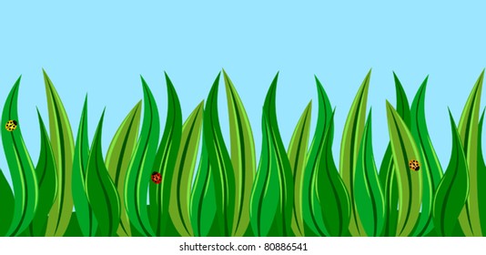 ladybugs in different colors in the green grass, horizontal tile