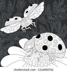 Ladybugs drawn in line art style. Daisy flowers. Floral background in black and white colors on chalkboard. Coloring book. Coloring page. Zentangle vector illustration.