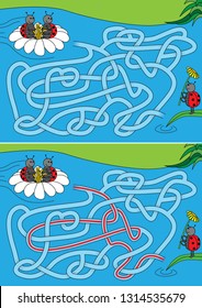 Ladybugs floating in a flower towards third ladybug - maze for kids with a solution