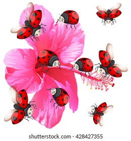 Ladybugs flying around the flower illustration