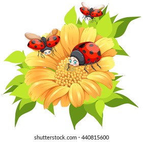 Ladybugs flying around yellow flower illustration
