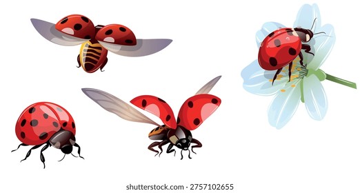 Ladybugs flying and resting on a flower in a bright setting with various angles captured during the day