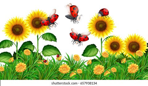 Ladybugs flying in sunflower garden illustration