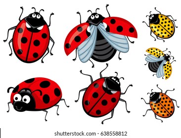 Ladybugs funny set. Colorfull cartoon ladybirds isolated on white background.