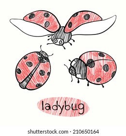 Ladybugs. Hand drawn vector illustration.