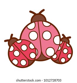 ladybugs insect small icon animal