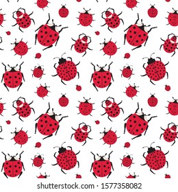 Ladybugs and ladybirds pattern. Seamless entomology background with beetles, bugs and insect elements for prints, fabric and gift wrapping paper.