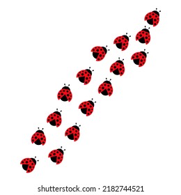 Ladybugs line way group. Cute ladybirds trail set. Vector illustration isolated on white.